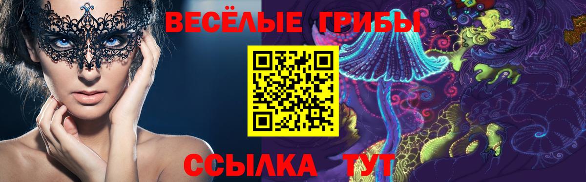 Татарск  Псилоцибиновые грибы Psilocybe  продажа наркотиков  Вход с VPN  Псилоцибиновые грибы ЛСД 